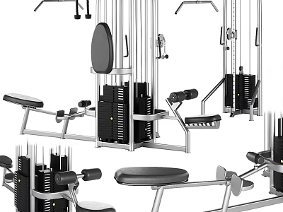 Professional Gym Sports Equipment Collection With Training Machines Weight Benches And Dumbbell Racks 3d model