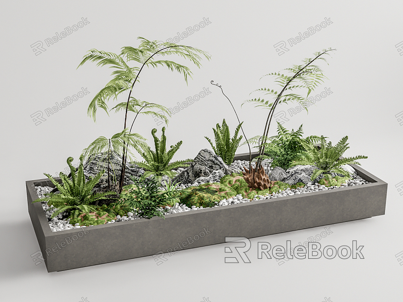 Modern landscape sketch fern garden landscape sketch fern plant bonsai model