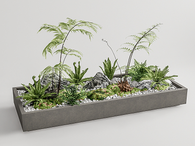 Modern landscape sketch fern garden landscape sketch fern plant bonsai 3d model