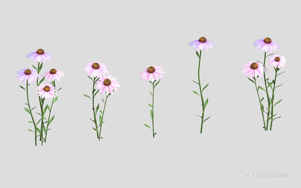 Beautiful Purple And Pink Flowers With Dark Centers Green Stems And Leaves 3d model 