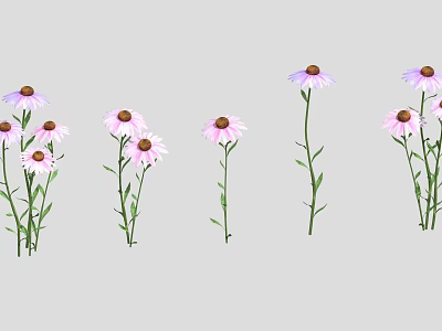 Beautiful Purple And Pink Flowers With Dark Centers Green Stems And Leaves 3d model