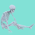 Detailed Human Anatomical Skeleton Model as Medical Device for Training and Education