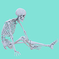 Modern Skeleton 3d model