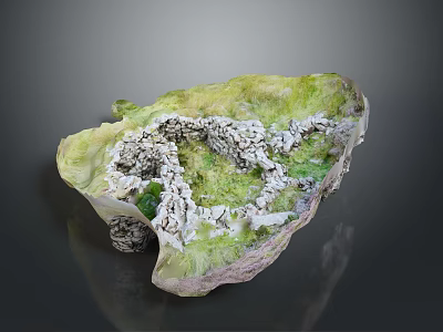Wooden and Stone Shell Shaped Decor with Intricate Stone Path and Lush Green Moss 3d model