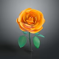 Orange Rose With Layered Petals And Green Leaves On Gradient Background