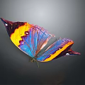 Colorful Butterfly With Vibrant Yellow Purple Blue Wings On Dark Background