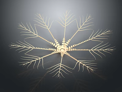 Golden Radial Chandelier With Intricate Branch Like Structure And Modern Design 3d model