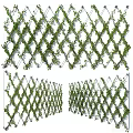 Lush Green Vines Covering Decorative Lattice Screen For Garden Decoration