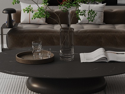 Modern coffee table model