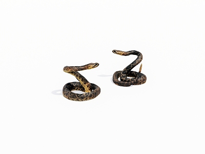 Reptile snake 3d model