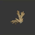 Tiny Coral Polyps Build Branching Yellow Coral Structure with Textured Surface