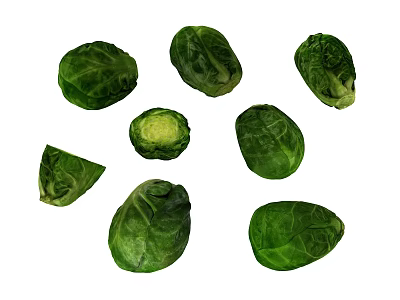 Fresh Green Brussels Sprouts With Whole And Halved Varieties On White Background 3d model