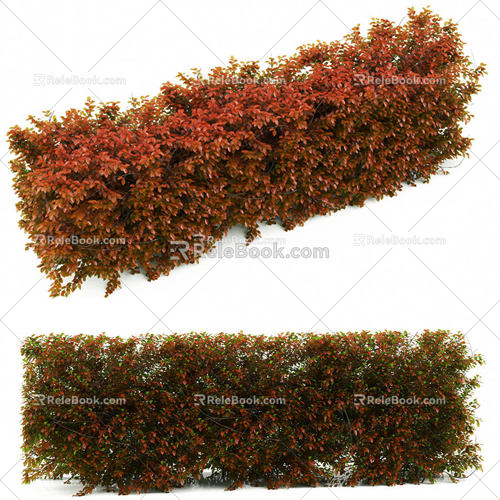 Modern Shrub Shrub 3d model