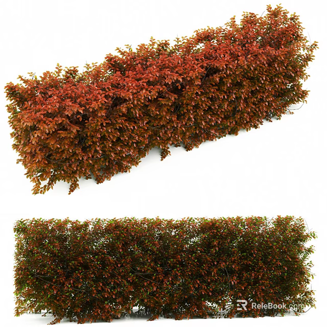 Red and Green Leaf Shrubs Trimmed Hedge for Garden Landscaping Design 3d model 