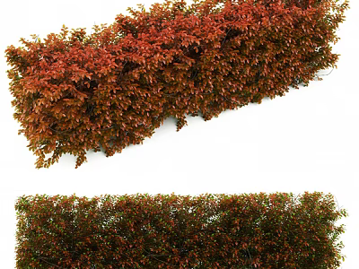 Red and Green Leaf Shrubs Trimmed Hedge for Garden Landscaping Design 3d model