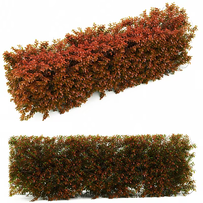 Red and Green Leaf Shrubs Trimmed Hedge for Garden Landscaping Design 3d model
