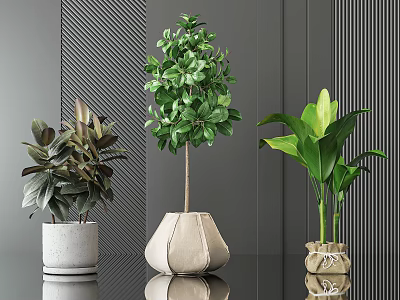 Green Leaf Potted Plants With Different Planters On Black Table Against Gray Striped Wall 3d model