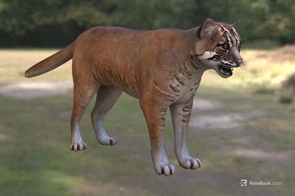 Wild Brown Striped Reptile Standing On Grassy Field With Lush Forest Background 3d model 