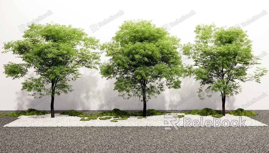 Modern Landscape Tree Sophora Tree Street Tree Arbor Landscape Tree model