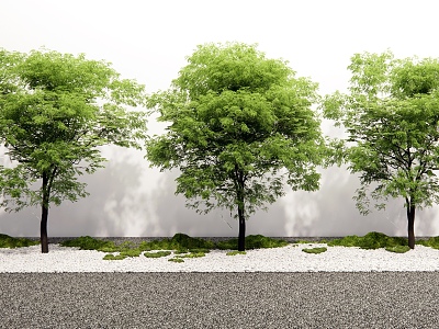 Modern Landscape Tree Sophora Tree Street Tree Arbor Landscape Tree model