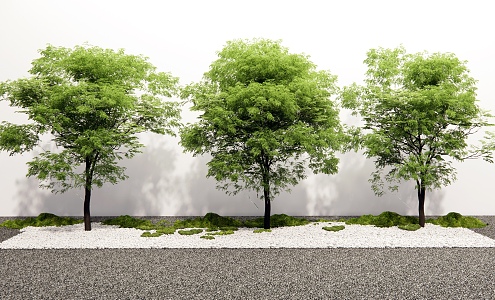 Modern Landscape Tree Sophora Tree Street Tree Arbor Landscape Tree 3d model