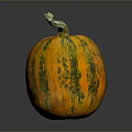 Round Orange And Green Striped Pumpkin With Green Stem On Dark Background