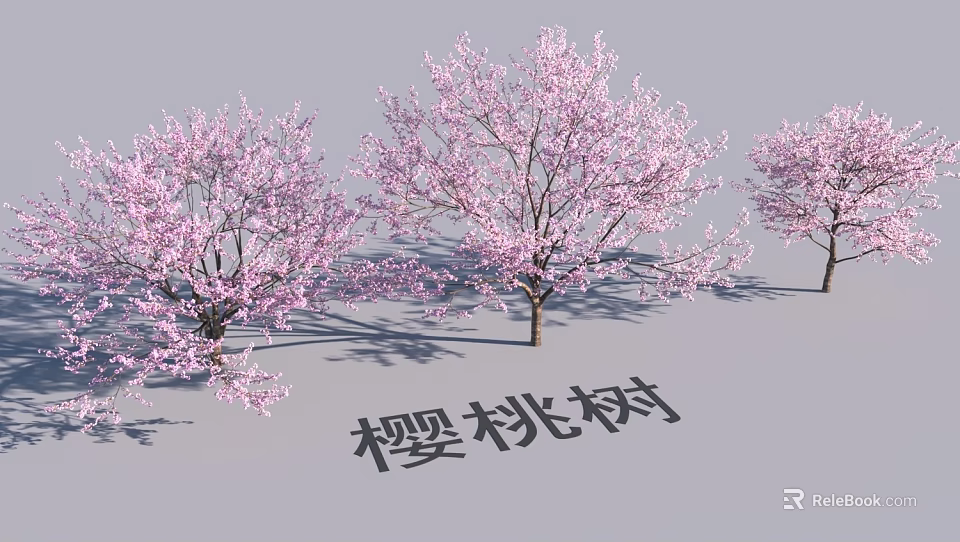 Scenic Garden Landscape Design With Beautiful Blooming Cherry Trees And Pink Blossoms 3d model 