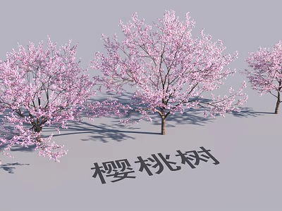 Scenic Garden Landscape Design With Beautiful Blooming Cherry Trees And Pink Blossoms 3d model