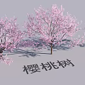 Scenic Garden Landscape Design With Beautiful Blooming Cherry Trees And Pink Blossoms