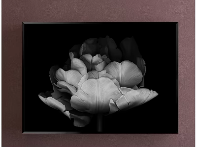 Minimalist Black and White Flower Plant Painting Framed On Brown Wall 3d model