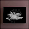 Minimalist Black and White Flower Plant Painting Framed On Brown Wall