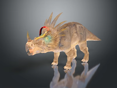 Realistic 3D Render Of Horned Dinosaur With Colorful Frill And Textured Skin 3d model