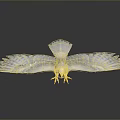 White Eagle With Spread Wings And Yellow Claws On Gray Background