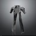 Modern Gray Long Coat With Stand Collar And Sleek Long Sleeves Design