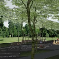Scenic Camping Site With Lush Trees Green Grass Stone Paths Wooden Walkway And Fire Pits