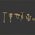 Yellow Mushrooms In Various Shapes Arranged On Dark Reflective Surface