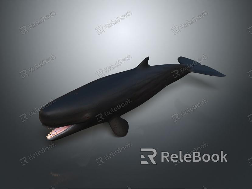 whale cartoon whale mammal marine mammal marine animal fish freshwater fish marine fish model