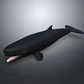Black Whale With Open Mouth And Visible Teeth In 3D Render Against Gray Background