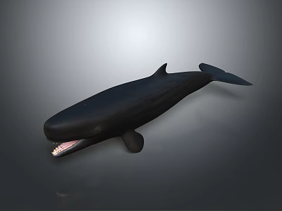 whale cartoon whale mammal marine mammal marine animal fish freshwater fish marine fish 3d model