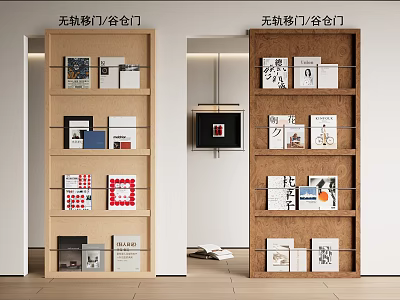 Modern Barn Door with Open Bookshelves and Decorative Books in Contemporary Home Interior 3d model