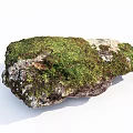 Mossy Natural Stone And Rustic Wood With Organic Texture For Decorative Design