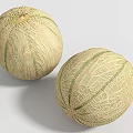 Two Fresh Juicy Cantaloupe Melons With Netted Skin And Green Stripes