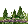 Beautiful Garden Well Trimmed Green Shrubs with Purple Pink Flowers and Broad Leaves