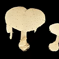 Two White Mushroom Plants with Damaged Cap Edges Against Black Background