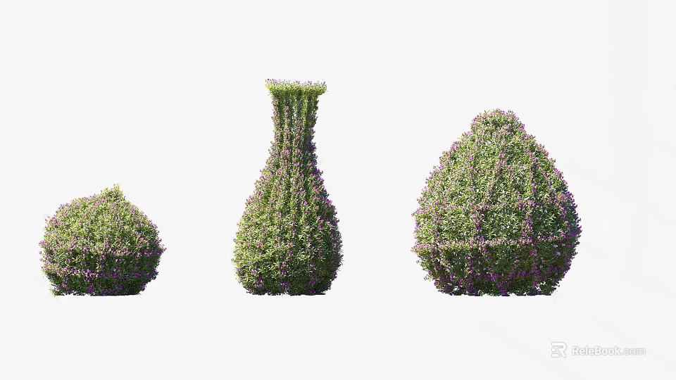 Beautiful Decorative Shaped Shrubs With Purple Flowers In Various Garden Forms 3d model 