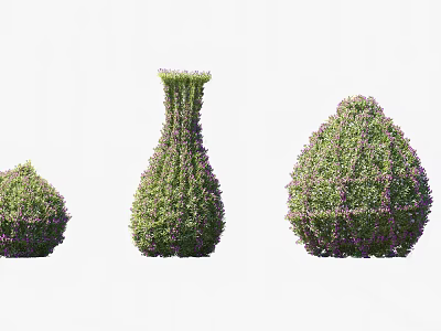 Beautiful Decorative Shaped Shrubs With Purple Flowers In Various Garden Forms 3d model