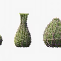 Beautiful Decorative Shaped Shrubs With Purple Flowers In Various Garden Forms