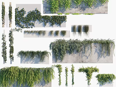 Different Types of Decorative Vines for Climbing Hanging and Wall Design 3d model