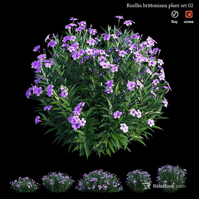 Vibrant Garden Flower Arrangement With Purple Blooms And Lush Green Leaves 3d model 