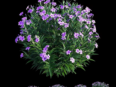 Vibrant Garden Flower Arrangement With Purple Blooms And Lush Green Leaves 3d model